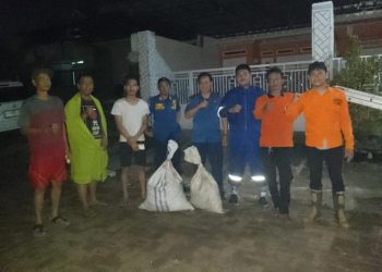 BPBD-PK Pandeglang Evakuasi 5 Sarang Tawon Vespa dalam Semalam