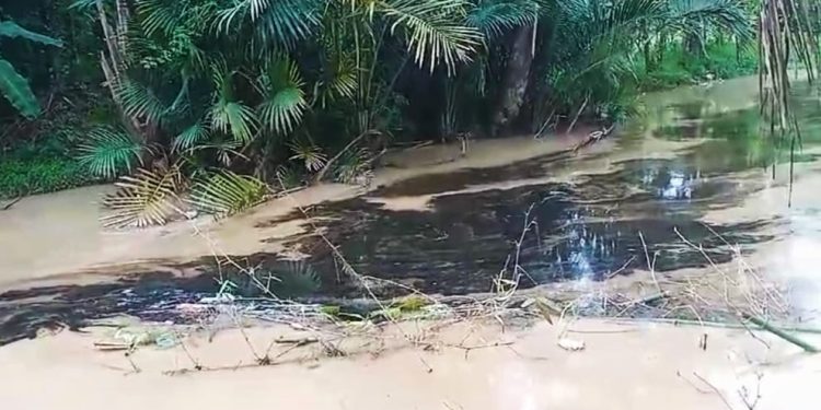 Warga Rangkasbitung Resah, Diduga Limbah Beracun Dibuang Sembarangan ke Sungai