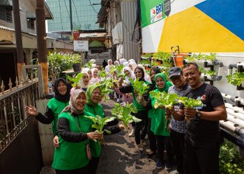 Berkat Program BRInita, Kelompok PKK Rawa Barat Sukses Budidaya Hidroponik dan Ikan Nila