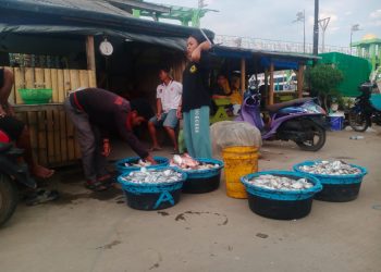 Harga Ikan di Pandeglang Belum Stabil