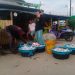 Harga Ikan di Pandeglang Belum Stabil