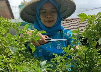Program BRInita Sukses Jadikan Kelurahan Padjajaran Bandung Jadi Percontohan Urban Farming