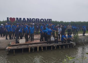 PWI dan DLHK Kabupaten Tangerang Tanam Mangrove dan Lepas Kepiting Belangkas