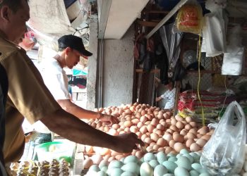 Harga Telur Ayam Ras di Kota Serang Alami Kenaikan Signifikan