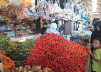 Cabai Merah Naik Rp100.000 per Kilogram, Disperindag Lebak Ungkap Penyebabnya