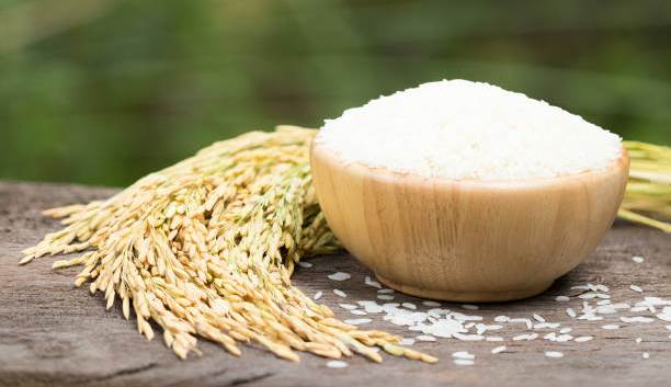 Beras Premium Langka di Banten, Disperindag Ajak Masyarakat Konsumsi Beras Bulog