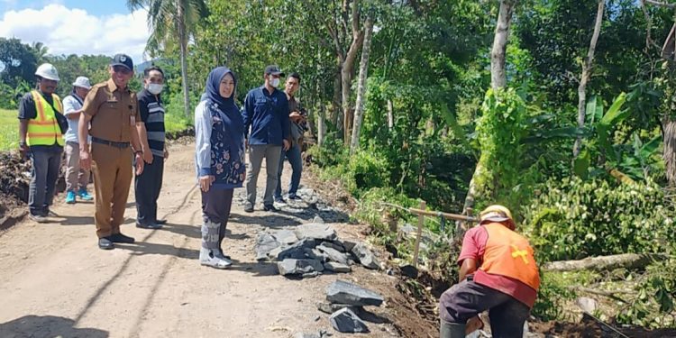 Pantau Proyek DAK 2024, Bupati Irna Minta Masyarakat Turut Memonitor
