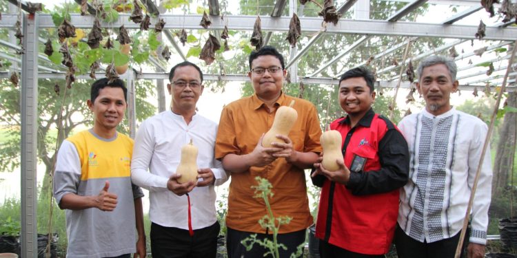 PLN Indonesia Power UBP Banten 3 Lontar Dirikan Greenhouse Untuk Petani Labu Madu