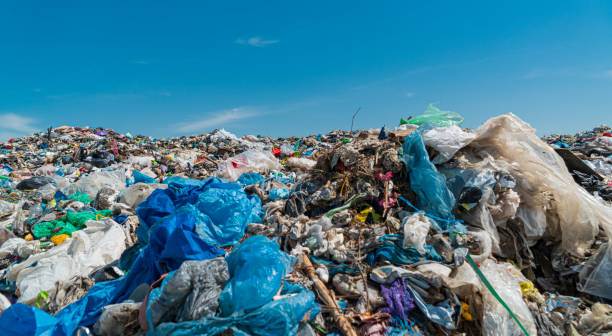 Banten Hasilkan 7,19 Ribu Ton Sampah Setiap Hari, Ini Daerah Paling Banyak Penyumbang Sampah