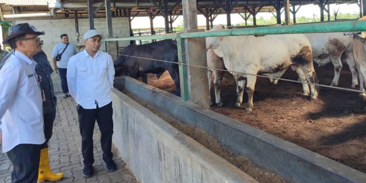 Distan Banten Jamin, Konsumsi Daging di Banten Terpenuhi Hingga Idul Fitri