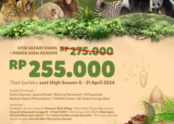 Taman Safari Bogor Promo Gila-gilaan, Tiket High Season Lebaran 2024 Cuma Rp200 Ribu