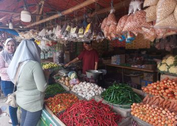 Bawang Merah dan Tomat di Pasar Induk Rau Melonjak Naik