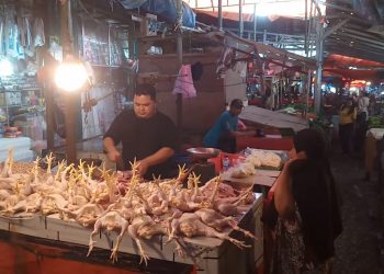 Kabar Gembira, Harga Daging Ayam Potong di Pasar Badak Pandeglang Kembali Normal
