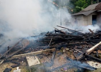 Ditinggal Panen Padi, Rumah Milik Petani Terbakar