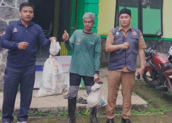 Januari-April 2024, Banyak Ular Berkeliaran di Permukiman