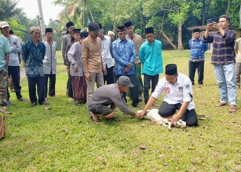 Warga Pandeglang Diedukasi Tata Cara Penyembelihan Hewan yang Halal