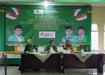 Airin Pikat PPP Dengan Program Santri Inovator