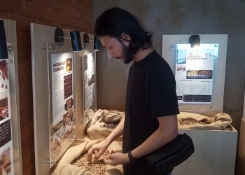 Mengenal Sejarah dan Ragam Kopi Banten di Galeri Kopi Gunung Karang