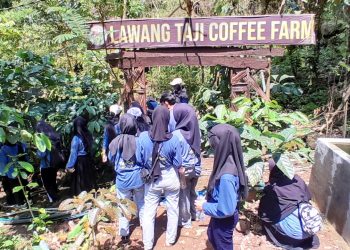 Wisata Kopi di Gunung Karang Pandeglang Jadi Tempat Penelitian Mahasiswa
