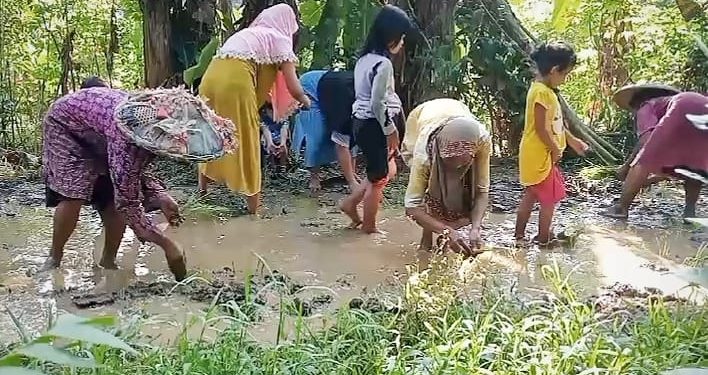 Puluhan Tahun Rusak, Warga Lebak Tanam Padi di Jalan Rusak