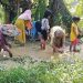 Puluhan Tahun Rusak, Warga Lebak Tanam Padi di Jalan Rusak