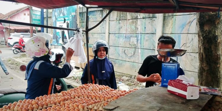 Harga Telur Melonjak di Pasar Rangkasbitung, Capai Rp 35 Ribu per Kilogram