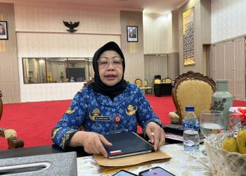Beras dan Ayam Ras Jadi Pemicu Inflasi