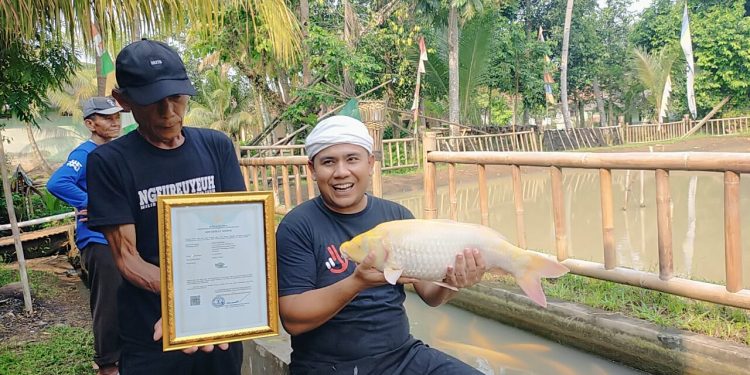 Untirta Lakukan Tes DNA Ikan Mas Sinyonya
