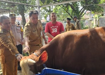 Pemkab Tangerang Pantau Hewan Kurban di Kecamatan Legok