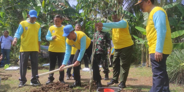 Lahan Kritis di Kabupaten Serang Tersebar di Tiga Kecamatan