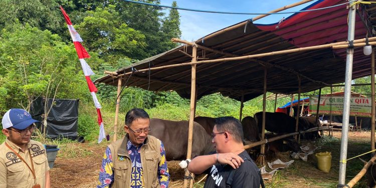 Keluhan Pedagang Hewan Kurban: Daya Beli di Banten Berkurang