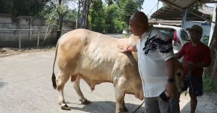 Polres Serang Sebar Puluhan Hewan Kurban Untuk Masyarakat, DKM, dan Ponpes