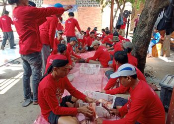 Ketua DPRD Kabupaten Tangerang Sebar 23 Sapi Untuk Kurban, Enam Berjenis Limosin