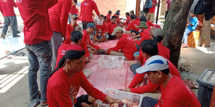 Ketua DPRD Kabupaten Tangerang Sebar 23 Sapi Untuk Kurban, Enam Berjenis Limosin