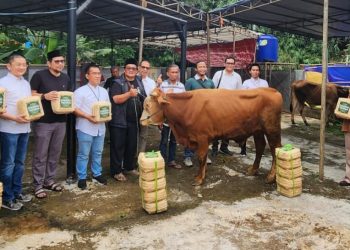 Yayasan Muslim Sinar Mas LandSerahkan 481 Hewan Kurban
