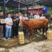Yayasan Muslim Sinar Mas LandSerahkan 481 Hewan Kurban