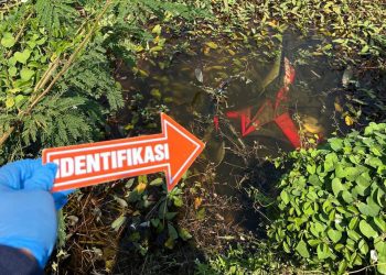Mayat Pria Membusuk Ditemukan di Dekat Empang Kasemen