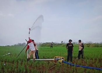 Distan Lebak Terus Menggalakan Tanam Padi Gogo Dukung Ketahana Pangan Nasional