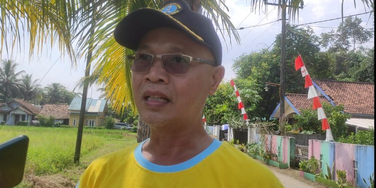 Masa Panen Berakhir, Harga Gabah di Kabupaten Serang Melonjak