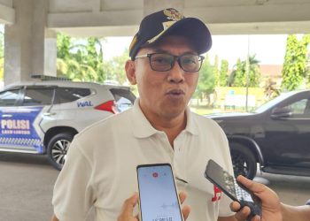 Tak Harus PKS, Helldy Diberi Kebebasan Cari Pendamping