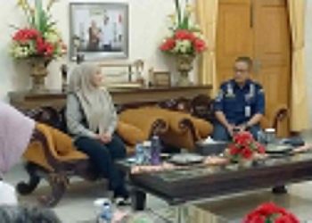 Awal 2025, Kemenhub Mulai Reaktivasi Rel Kereta Rangkasbitung-Labuan