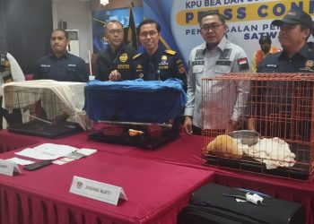 Selundupkan Satwa Langka, Aktor Bollywood Ditangkap Bea Cukai Bandara Soekarno-Hatta