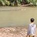 Hanyutkan Kayu di Sungai Cijaralang, Buruh Serabutan Nyaris Tewas Diterkam Buaya