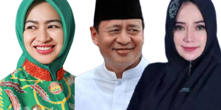 Airin Unggul di Survei Pilgub Banten Versi Suryakanta Institute