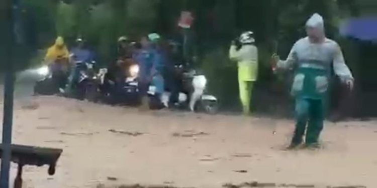 Dewan Minta Pengusaha di Puloampel Lakukan Penghijauan Bukit
