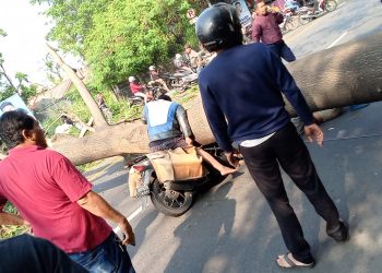 Tertimpa Pohon, Korban Pohon Tumbang di Jalan Daan Mogot Dapat Asuransi dari Pemkot