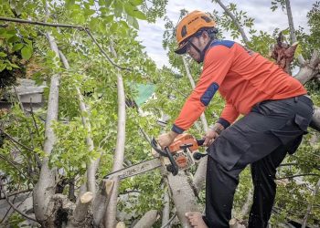 Cuaca Tak Menentu, BPBD Cilegon Imbau Warga Tingkatkan Kewaspadaan