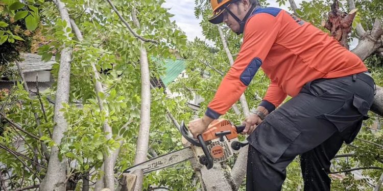 Cuaca Tak Menentu, BPBD Cilegon Imbau Warga Tingkatkan Kewaspadaan