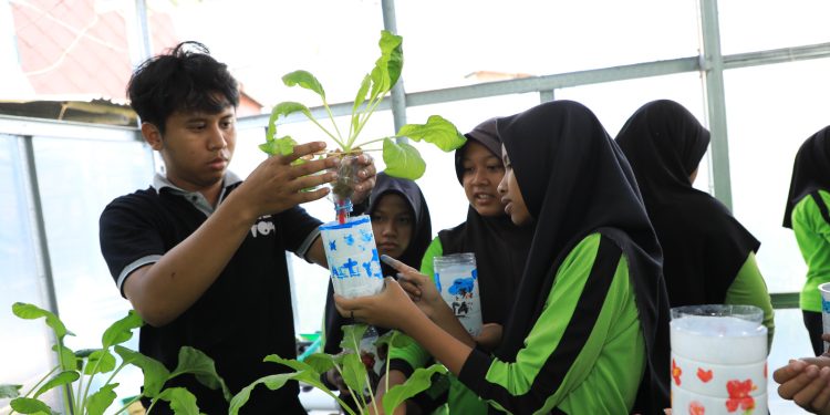 Peringati Hari Anak Nasional, Ini Cara Unik BRI Ajak Anak SD Belajar Tanam Hidroponik