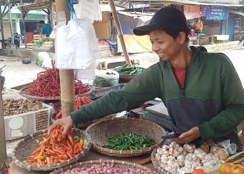Disperindag Pandeglang Mengaku Tak Berdaya Tanggulangi Kenaikan Harga Cabai Setan